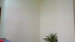 SweetAlegra  24-06-2020